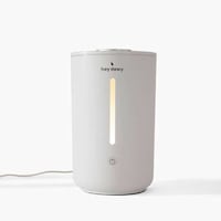 Hydrating Home Humidifiers Image 1