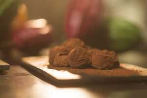 Upcycled Cacao Bites Article Thubnail