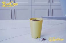 Multi-Functional Seedling Cups Article Thubnail