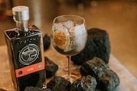 Coal-Infused Gins