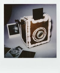 Functional Gingerbread Cameras Image 3