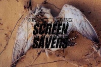 Provocative Eco Screensavers