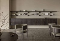Central Tokyo Penthouses Image 5