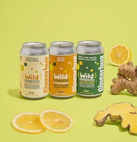 Wild-Fermented Ginger Beers Image 1