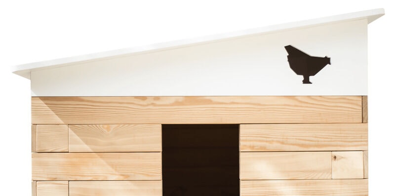 Feature-Rich Chicken Coops