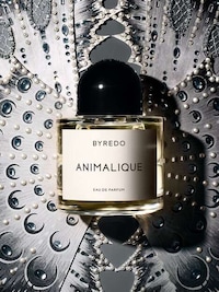 Amber Floral Fragrances