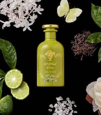 Eco Luxury Fragrances