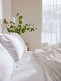 Environmentally Conscious Bamboo Pillows Image 1