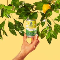 Citrusy Non-Alcoholic Radlers Image 2