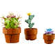 Miniature Building Block Plants Image 2