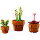 Miniature Building Block Plants Image 4