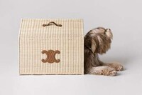 Posh Parisian Pooch Accessories