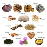 Mushroom-Based Dog Supplements Image 2