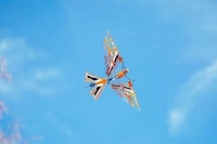 Biomimicry Bird-Like Drones Image 2
