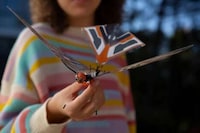 Biomimicry Bird-Like Drones Image 3