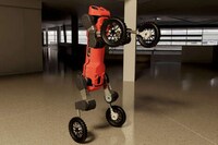 Standing Quadruped Robots Image 1