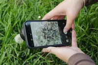 Pro-Grade Macro Smartphone Lenses Image 3