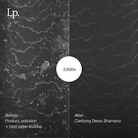 Weekly Reset Shampoos Image 2