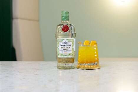 Influencer-Crafted Gin Cocktails