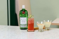 Influencer-Crafted Gin Cocktails Image 4