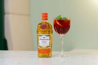 Influencer-Crafted Gin Cocktails Image 6