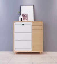 Sanitizing Shoe Cabinets Image 1