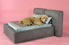 Human-Quality Dog Beds