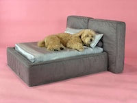 Human-Quality Dog Beds Image 1