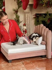 Human-Quality Dog Beds Image 2