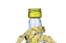 Indian Cashew Fruit Brews