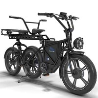 Electric German Tandem Bikes Image 1