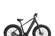 Hybrid Exercise E-Bikes