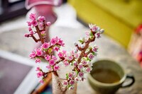 Minimalist Building Block Flowers Image 2