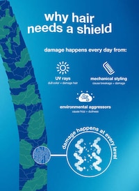 Daily Protective Conditioners Image 3