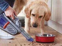 Pet-Specific Handheld Vacuums Image 1