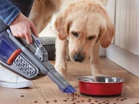 Pet-Specific Handheld Vacuums