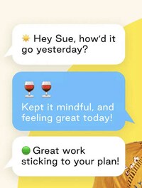 Health-Focused Alcohol-Tracking Apps Image 4