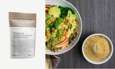 Gut-Supporting Plant-Powered Superfoods