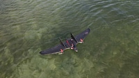Amphibious VTOL Drones Image 2