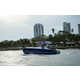 Luxurious Recreational Electric Boats Image 3