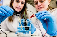 Growth-Stimulating Electronic Soils Image 1