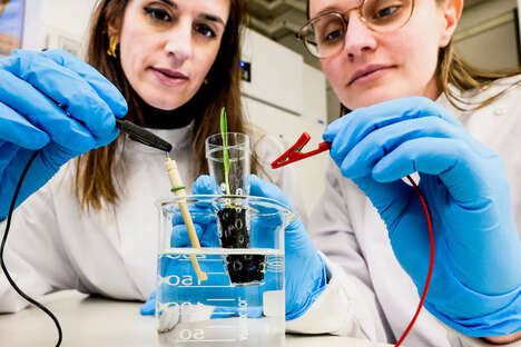 Growth-Stimulating Electronic Soils