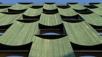 Green-Timber Glad Office Spaces Image 2