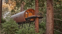 Vaulted Structural Telescopic Treehouse Image 2