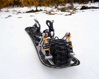 Riproaring Electric Snowboards Image 5