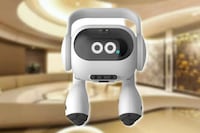 AI-Fueled Smart Home Robots Image 2