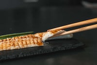 3D-Printed Eel Alternatives Image 2