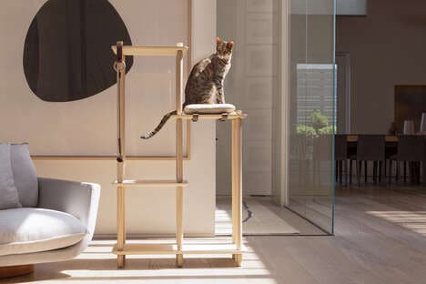 Contemporary Cat Furniture Collections
