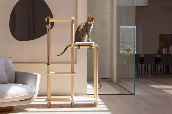 Contemporary Cat Furniture Collections
