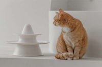 Nature-Inspired Pet Toys